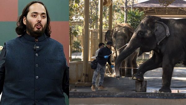 ചങ്ങലകളില്‍ നിന്നു മോചനം; ബിഷ്ണുപ്രിയക്കും ലക്ഷ്മിപ്രിയക്കും രക്ഷകരായത് അനന്ത് അംബാനിയുടെ 'വന്‍താര'