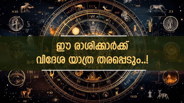 ശുക്രൻ വരുന്നു വലിയ നേട്ടങ്ങളുമായി; ഈ രാശിക്കാർക്ക് ആഗ്രഹിച്ചത് നടക്കും, സ്വർണം വാങ്ങാൻ യോഗം തെളിയുന്നു