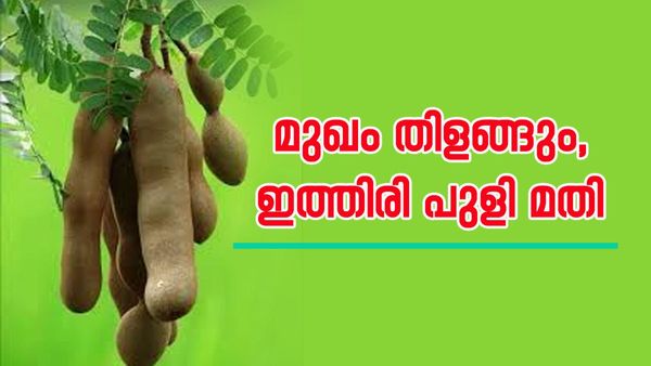  പുറത്തിറങ്ങുമ്പോൾ മുഖത്തിന് തിളക്കം വേണോ? പുളിയില്ലേ, 20 മിനിറ്റ് മതി, ഇതുപോലെ ചെയ്താൽ മതി