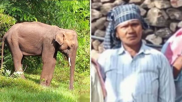 കാട്ടാന ആക്രമണത്തില്‍ കൊല്ലപ്പെട്ട സോഫിയയുടെ കുടുംബത്തിന് 10 ലക്ഷം രൂപ സഹായം, മകള്‍ക്ക് ജോലി