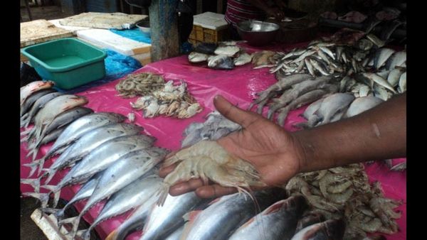 മീന്‍..മീനേയ്..വിളി കാരണം ജോലി ചെയ്യാനാകുന്നില്ല; മത്സ്യവില്‍പനക്കാരനെ ആക്രമിച്ചു: പിന്നാലെ ട്വിസ്റ്റ്