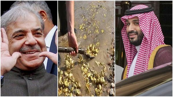 സ്വർണ്ണത്തിന്റെ കാര്യത്തില്‍ പാകിസ്താന്‍ പറ്റിച്ചോ, സത്യമെന്ത്? സൗദി അറേബ്യയുടെ തീരുമാനം എന്തായിരിക്കും