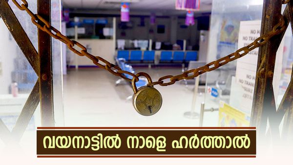 Wayanad Hartal: വയനാട്ടില്‍ നാളെ യുഡിഎഫ് ഹര്‍ത്താല്‍; വന്യജീവി ആക്രമണം രൂക്ഷമായതില്‍ പ്രതിഷേധം