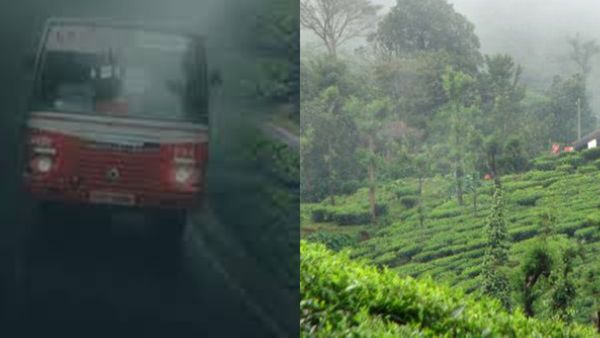 വാലന്റൈൻ ദിനം ഇങ്ങെത്തി; മൂന്നാറിലേക്ക് വിട്ടോ, 9 സ്ഥലങ്ങൾ ഒറ്റ പാക്കേജിൽ ..പോകാം