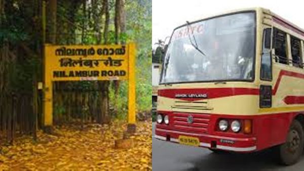 ചൂടിൽ തണുപ്പിക്കുന്ന മിനി ഊട്ടി, പച്ചപ്പിലലിഞ്ഞ് നിലമ്പൂർ,കാണാൻ കൗതുക കാഴ്ചകൾ,മാർച്ച് യാത്ര പാക്കേജ്