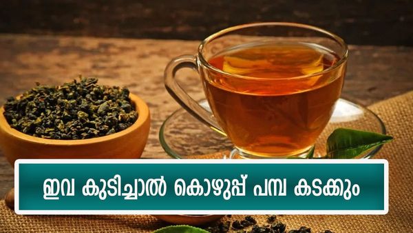 കുടിക്കാൻ തോന്നിയാൽ അങ്ങ് കുടിക്കണം; കൊഴുപ്പ് കളയാൻ ബെസ്‌റ്റ് ഇവ, പക്ഷേ ഇത് മാത്രം കുടിക്കരുത്