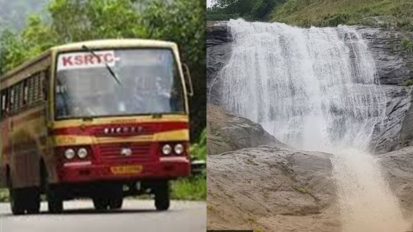 തെന്മലയുടെ മായക്കാഴ്ചകൾ, റോസ് മലയുടെ വന്യസൗന്ദര്യം! ഇത്രയും കുറഞ്ഞ ചെലവിൽ വേറേ പാക്കേജ് കിട്ടില്ല