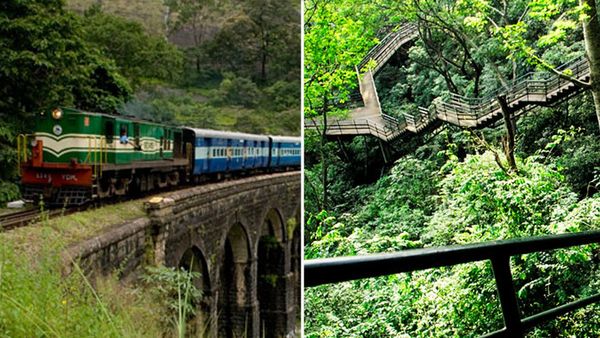 ജന്മനക്ഷത്രത്തിന് അനുസരിച്ചുള്ള മരം കാണാം, വാങ്ങാം... വേഗം തെന്മലയിലേക്ക് വിട്ടോ