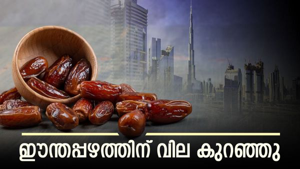 ഈന്തപ്പഴത്തിന് യുഎഇയില്‍ വിലക്കുറവ്.. ഇപ്പോള്‍ വാങ്ങിക്കോ? പത്ത് ദിവസത്തിനുള്ളില്‍ വില കുതിച്ചുയരും