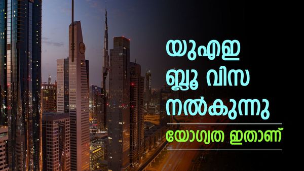 ഗോള്‍ഡന്‍ വിസ അല്ല; ബ്ലൂ വിസ പ്രഖ്യാപിച്ച് യുഎഇ, ആദ്യം 20 പേര്‍ക്ക് മാത്രം, യോഗ്യത ഇതാണ്