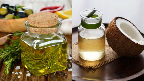 മുടിയ്ക്ക് നല്ലത് നെല്ലിക്കയെണ്ണയോ വെളിച്ചെണ്ണയോ? ഉത്തരം ലളിതമല്ല, ഈ ഗുണങ്ങൾ പറയും കേമൻ ആരെന്ന്...