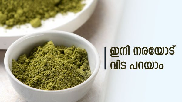 മൈലാഞ്ചി പൊടി വീട്ടിലുണ്ടോ? ഈ അഞ്ച് ചേരുവകൾ ഒപ്പം ചേർത്താൽ മുടി വേറെ ലെവലാവും, ഡൈ വേണ്ട