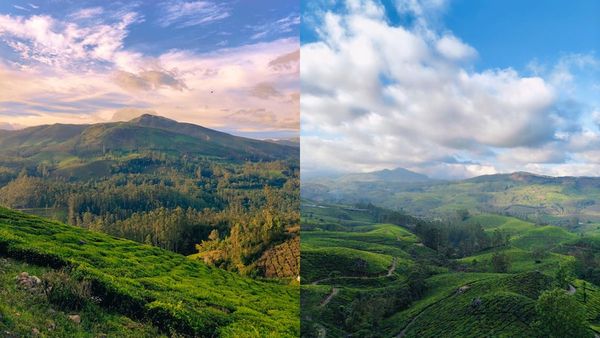 മൂന്നാർ കാണാൻ പറ്റിയ നേരം; പെരുന്നാൾ മലമുകളിൽ ആഘോഷിക്കാം, പാക്കേജ്