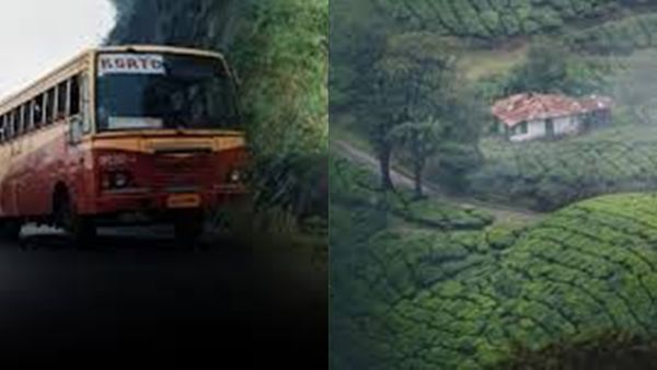 മഞ്ഞ് തന്നെ ഇപ്പോഴും, ക്യാമ്പ് ഫയറും വെള്ളച്ചാട്ടവും; മൂന്നാറിൽ പോകാം, പാക്കേജ് ഇതാ