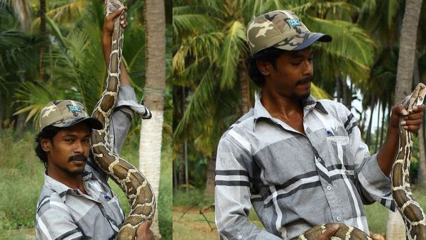 15 വര്‍ഷമായി പാമ്പ്പിടിത്തം; മൂര്‍ഖനെ പിടികൂടാനുള്ള ശ്രമത്തിനിടെ പാമ്പുപിടിത്തക്കാരന്‍ കടിയേറ്റ് മരിച്ചു