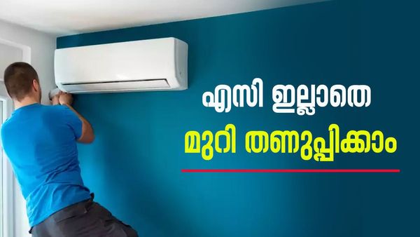 ചൂട് സഹിക്കാൻ പറ്റുന്നില്ലേ; എസി ഇല്ലാതെ തന്നെ മുറി തണുപ്പിച്ചാലോ, വീട്ടിലുണ്ട് വഴികൾ
