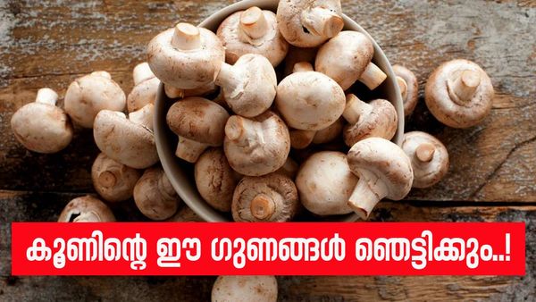 കൂൺ കൂട്ടിയൊരു അടിപൊളി ഊൺ ആയാലോ? രുചികൊണ്ട് മാത്രമല്ല ഗുണം കൊണ്ട് കേമൻ, ഇതാണ് കാര്യം
