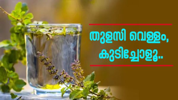 വണ്ണം കൂടിയോ, കൊളസ്ട്രോളോ? തുളസി വെള്ളം കുടിച്ചാലോ, രാവിലെ കുടിക്കണം, 4 ​ഗുണങ്ങൾ അറിയാം..