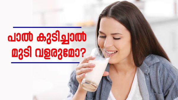 പാൽ കുടിച്ചാൽ മുടി വളരുമോ? വെറുതെ പറയുന്നതാണോ, അതോ ​ഗുണമുണ്ടോ?