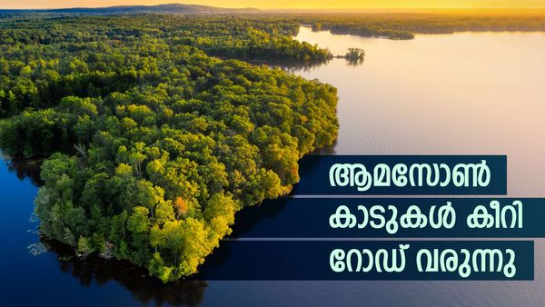 ആമസോണ്‍ മഴക്കാടുകള്‍ പിളര്‍ത്തി നാലുവരി പാത; അതും കാലാവസ്ഥ ഉച്ചകോടിയുടെ പേരില്‍