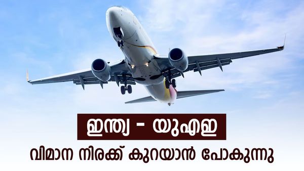 പ്രവാസികള്‍ക്ക് കോളടിച്ചു.. ഇനി നാട്ടിലേക്ക് ഇടയ്ക്കിടെ വരാം; ഇന്ത്യ-യുഎഇ വിമാന നിരക്ക് കുത്തനെ കുറയും!
