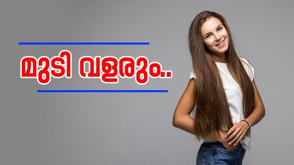 വേനൽക്കാലമല്ലേ, മുടി നന്നായി ശ്രദ്ധിച്ചില്ലെങ്കിൽ കൊഴിയും; ഈ പഴങ്ങൾ  കഴിച്ചോളൂ, മുടി തിളങ്ങും..