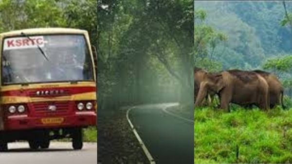 കാടും കണ്ട് കുന്നും കയറി കുട്ടവഞ്ചിയും തുഴഞ്ഞൊരു യാത്ര; കെഎസ്ആർടിസി പാക്കേജ്