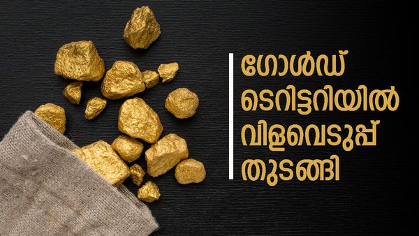 സ്വര്‍ണം ഇവിടെയുണ്ട്; കണ്ടെത്തിയത് 10 ടണ്‍, 500 കേന്ദ്രങ്ങളില്‍ അടുത്ത 300 ടണ്‍ പ്രതീക്ഷ