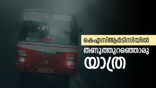 നിലമ്പൂര്‍ മുതല്‍ ഗവിയും മൂന്നാറും വാഗമണും വരെ; ഈ അവധിക്കാലം കീശ കാലിയാകാതെ അടിച്ചുപൊളിക്കാം