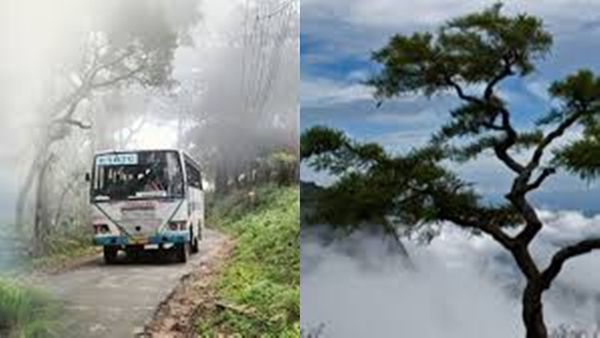 ഏപ്രിൽ ചൂടിൽ കാണാം നെല്ലിയാമ്പതിയും നിലമ്പൂരും.. സമ്മറിലെ കിടിലൻ ട്രിപ്പുകൾ, പാക്കേജ്