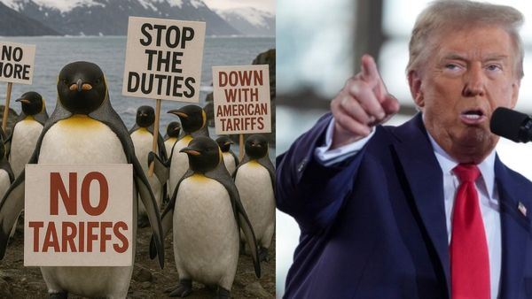 ട്രംപ് ഇതെന്തു ഭാവിച്ചാ? പെന്‍ഗ്വിനുകള്‍ മാത്രമുള്ള ദ്വീപുകള്‍ക്കും തീരുവ; പരിഹാസവുമായി നെറ്റിസണ്‍സ്
