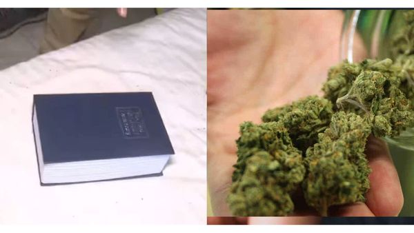 'ഇംഗ്ലീഷ് ഡിക്ഷണറി' തുറക്കുമ്പോള്‍ കഞ്ചാവ്; സ്റ്റണ്ട് മാനെ പൊക്കി എക്‌സൈസ്