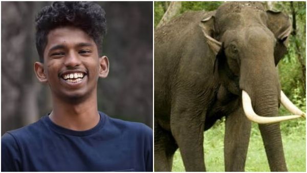 പാലക്കാട് കാട്ടാന ആക്രമണത്തില്‍ യുവാവ് കൊല്ലപ്പെട്ടു: അമ്മാക്ക് ഗുരുതര പരിക്ക്; ഇന്ന് സിപിഎം ഹർത്താല്‍