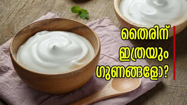 കടുത്ത വേനലിൽ ഒരു ആശ്വാസം; തൈര് കൂട്ടി ഊണ് കഴിച്ചാൽ ഇത്രയും ഗുണങ്ങളോ? അറിഞ്ഞാൽ ഞെട്ടും