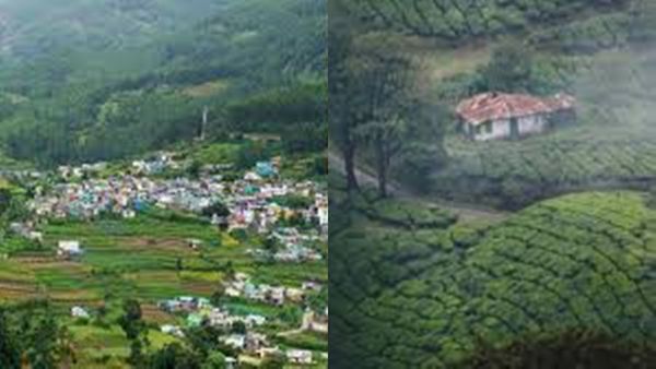 ചൂടിലും രാവിലെ കോടയിറങ്ങുന്ന വട്ടവട തെക്കിന്റെ കാശ്മീരും പൊൻമുടിയും; പാക്കേജ്