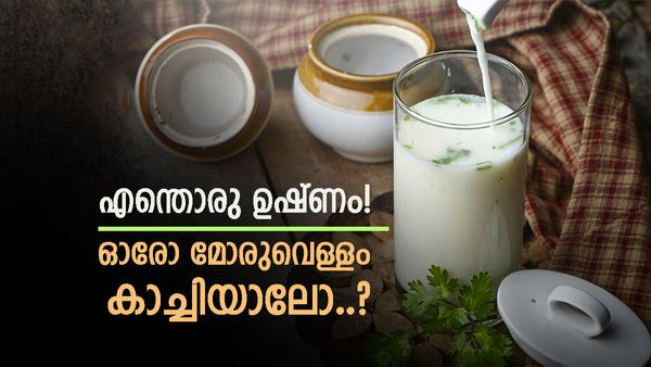 വെയിലാണ് ചൂടാണ് വല്ലാത്ത ക്ഷീണമാണ്; ഈ വേനലിൽ ചായയും കാപ്പിയും വിട്ടേക്കൂ, ഈ പാനീയങ്ങൾ പരീക്ഷിക്കൂ