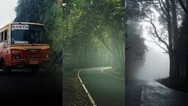 മഴക്കാലത്തെ ഗവി കണ്ടിട്ടുണ്ടോ? വെറും 1650 രൂപ മതി; പാക്കേജുമായി കെഎസ്ആർടിസി