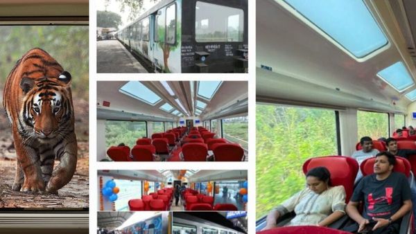 കാടറിഞ്ഞൊരു ട്രെയിന്‍ യാത്ര; ആകാശം കാണുന്ന കോച്ച്; നാലര മണിക്കൂര്‍ ജംഗിള്‍ സഫാരിക്ക് വെറും 275 രൂപ