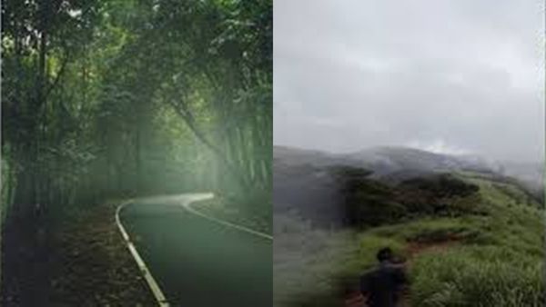 ആനക്കുളി..സ്വന്തമായി വെള്ളച്ചാട്ടമുള്ള വൈറൽ സ്കൂൾ; കാടും നാടും കണ്ട് ഒരു മഴയാത്ര.. നനഞ്ഞു പോകാം