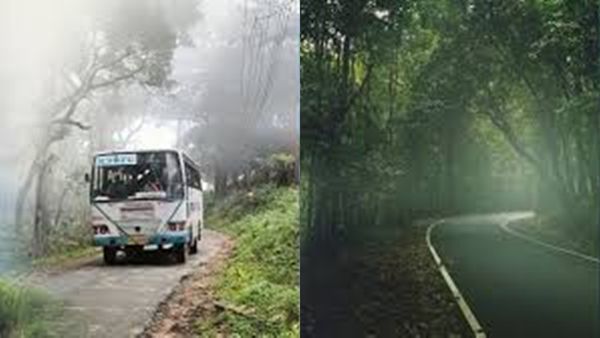 സ്കൂൾ തുറക്കുന്നതിന് മുന്നേ പോകാം; മലക്കപ്പാറയും നെല്ലിയാമ്പതിയും നിലമ്പൂരും..പാക്കേജ് ഇതാ