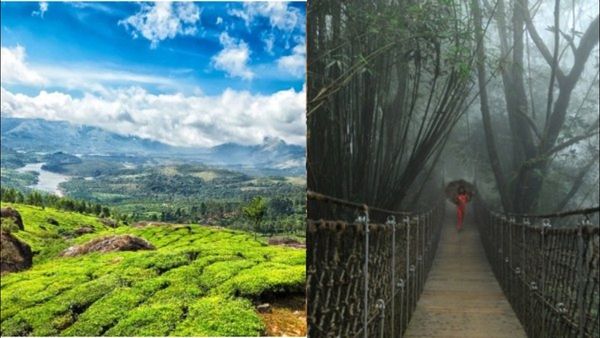 കൂണു പോലെ റിസോര്‍ട്ടുകള്‍; ആവര്‍ത്തിക്കുന്ന അപകടങ്ങള്‍; വയനാട്ടില്‍ ടെന്റ് തകര്‍ന്നുവീണ് വിനോദ സഞ്ചാരി മരിച്ചു