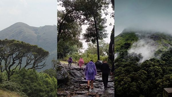 മഴയാത്ര പോകാം; നെല്ലിയാമ്പതിയിലേക്കും സൈലന്റ് വാലിയിലേക്കും കെഎസ്ആർടിസി പാക്കേജ്, 480 രൂപ മുതൽ