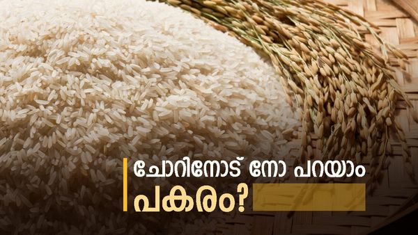 ചോറ് സൈലന്റ് കില്ലറോ? തടി കുറയ്ക്കാൻ വേറെന്ത് കഴിക്കുമെന്ന സംശയം ഇനി വേണ്ട, ഉത്തരം ഇവ തരും..!