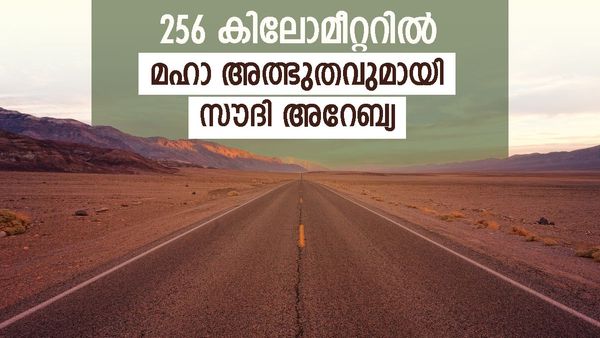സൗദി അറേബ്യയുടെ ഹൈവേ 10; യുഎഇ അതിര്‍ത്തി വരെ വളവില്ലാത്ത റോഡ്, 256 കിലോമീറ്റര്‍