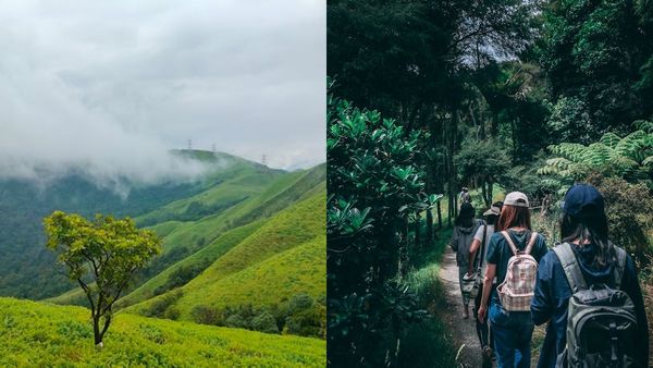 കാപ്പിത്തോട്ടങ്ങൾ, വെള്ളച്ചാട്ടങ്ങൾ..ബെംഗളൂരിൽ നിന്ന് ചിക്കമംഗളൂരിലേക്ക് ഒരു വെറൈറ്റി റോഡ് ട്രിപ്