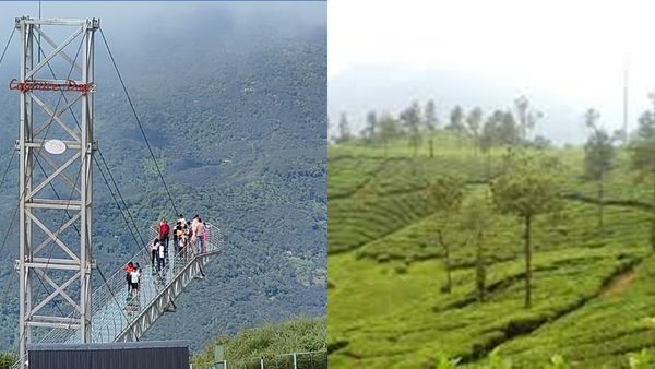 വാഗമണ്ണിൽ സാഹസികത, കുമരകത്ത് ബോട്ടിംഗ്,റിലാക്സ് ചെയ്യാൻ മാംഗോ മെഡോസ്.. പാക്കേജ് ഇതാ