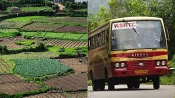 കൊടുംകാട്ടിലൂടെ 5 കിമി യാത്ര, കേരളത്തിന്‍റെ പച്ചക്കറിത്തോട്ടം കാണാം.. ഒപ്പം ഗുഹകളും കാറ്റാടിപ്പാടങ്ങളും