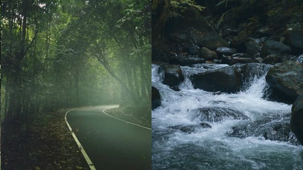 മഴ കൊണ്ട് കാനന യാത്ര, കാട്ടാറിലൂടെയൊരു കുട്ടവഞ്ചി സവാരി, വെള്ളച്ചാട്ടവും; പാക്കേജ് ഇതാ