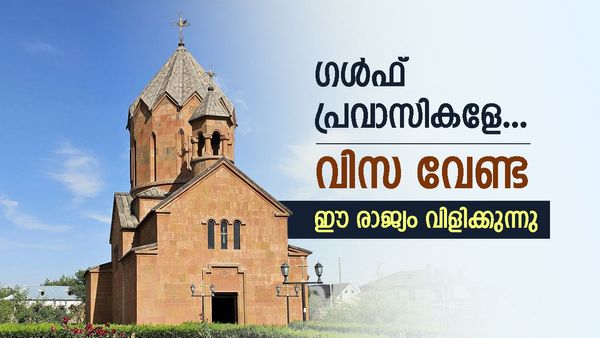 യുഎഇ, ഖത്തര്‍, സൗദി അറേബ്യ... പ്രവാസികള്‍ക്ക് സന്തോഷ വാര്‍ത്ത; ഈ രാജ്യത്തേക്ക് പോകാന്‍ വിസ വേണ്ട