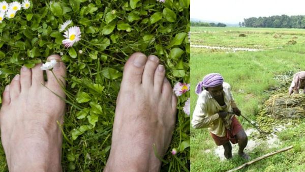 'മണ്ണില്‍ ചവിട്ടി നടക്കണം'; ഈ ഉപദേശം തള്ളിക്കളയേണ്ട: ആരോഗ്യ ഗുണങ്ങള്‍ ഏറെയുണ്ട്